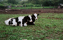 Aquidneck Farmlink Farm Owners