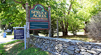 spruce-acres