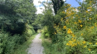Pennfield trail