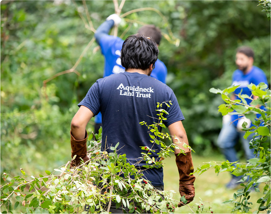 fpo-column-image-2 fpo-column-image-2