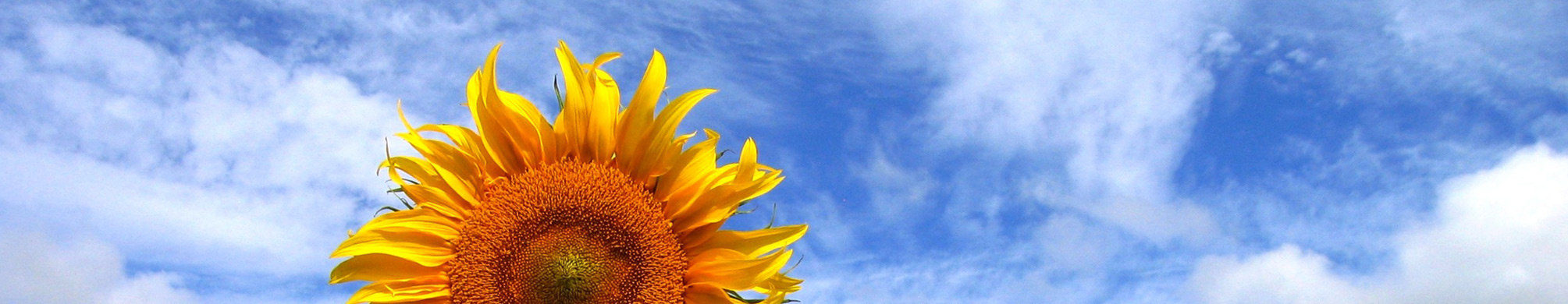 ailt-join-the-landtrust