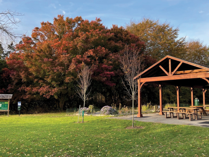 ailt-land-projects-01