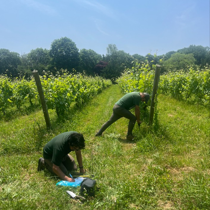 ailt-land-projects-03