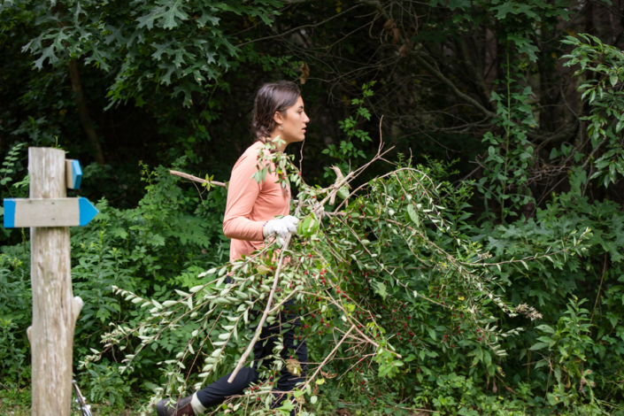 ailt-volunteer-opportunities