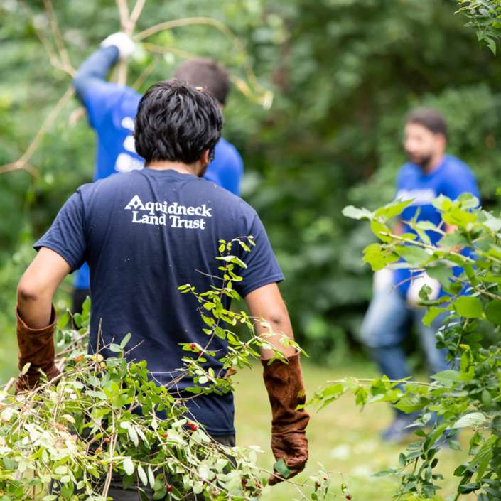 ailt-volunteer-opportunities-05