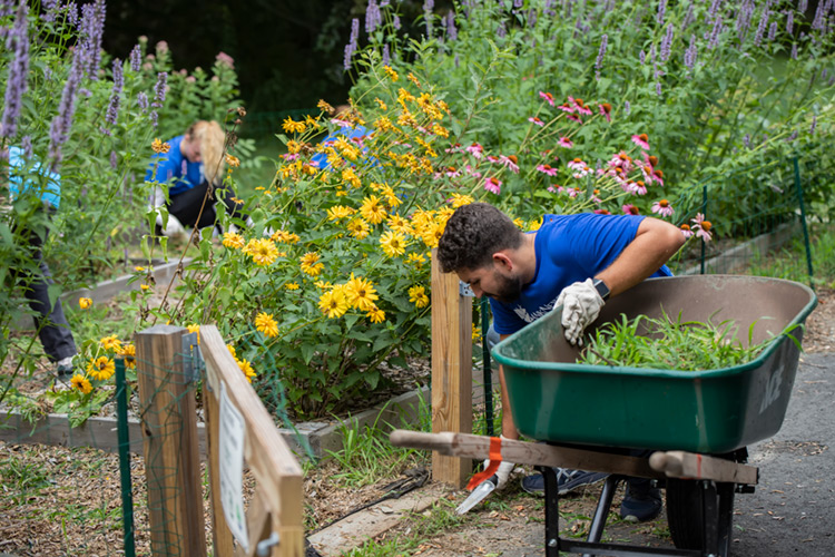 ailt-volunteer-opportunities-header-mobile