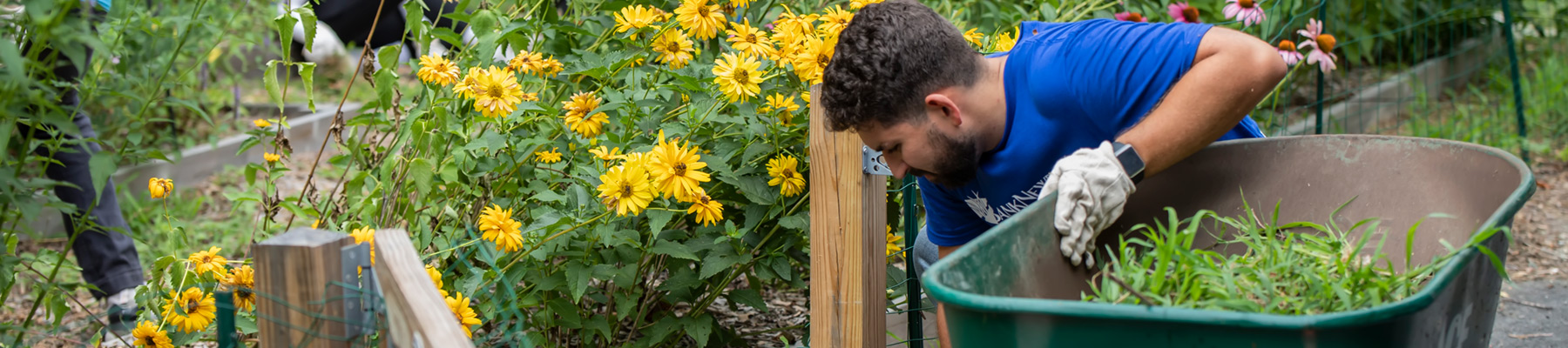 ailt-volunteer-opportunities-header