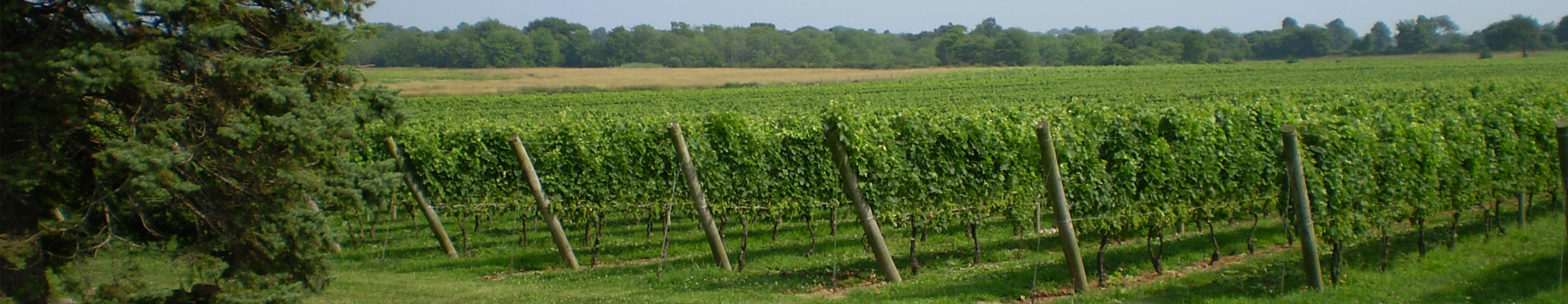 farm-conservation-header