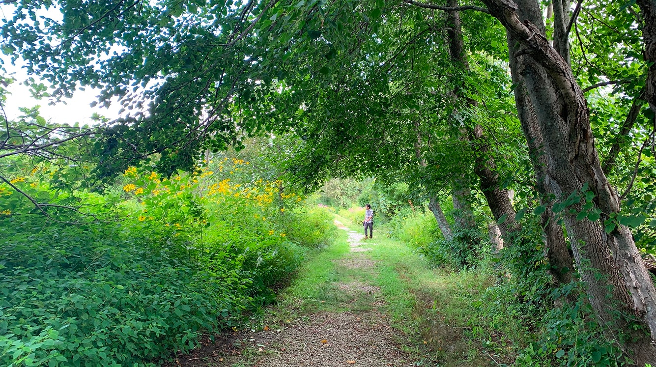 get-involved Get Involved