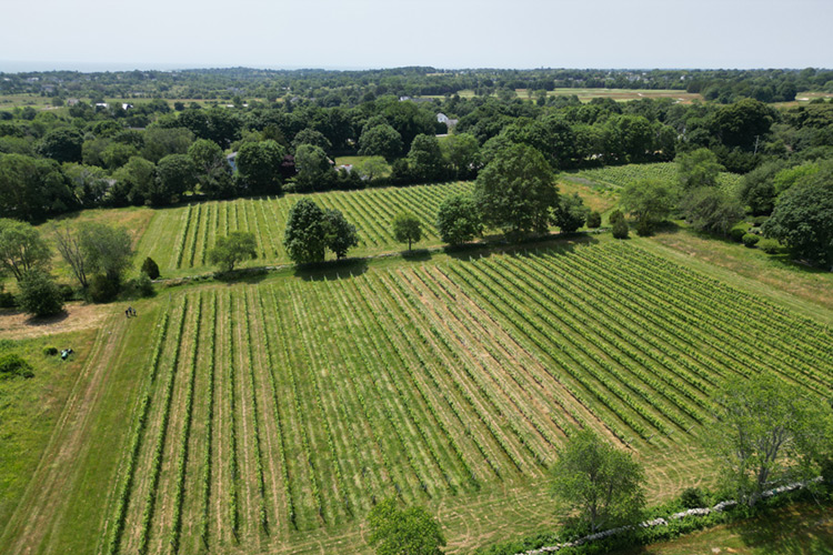 land-projects-header-mobile