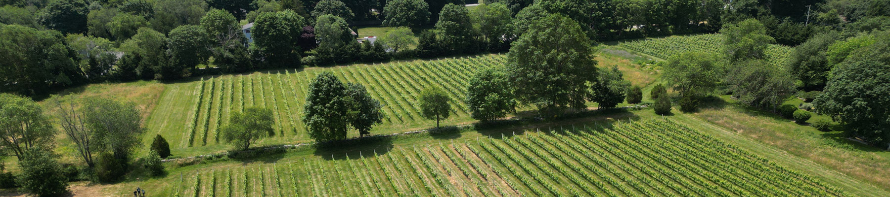 open-work-land-projects-header-rev