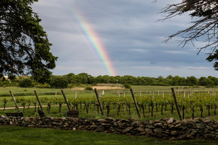 Newport Vineyards Jessica Pohl