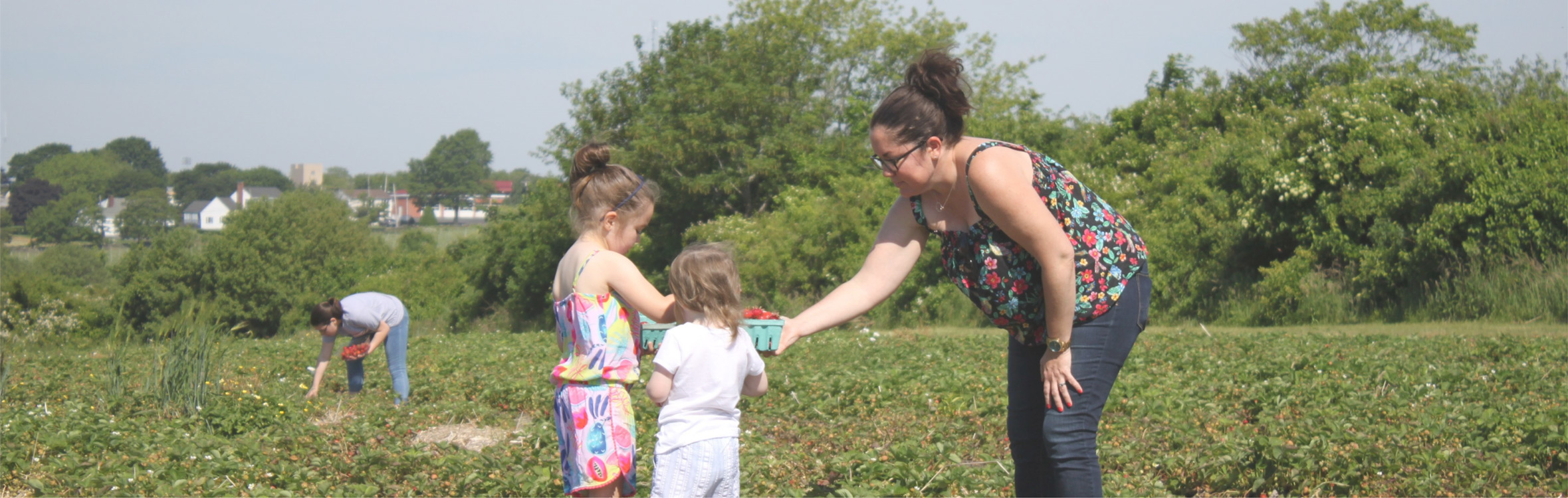 ailt-ways-to-give-header