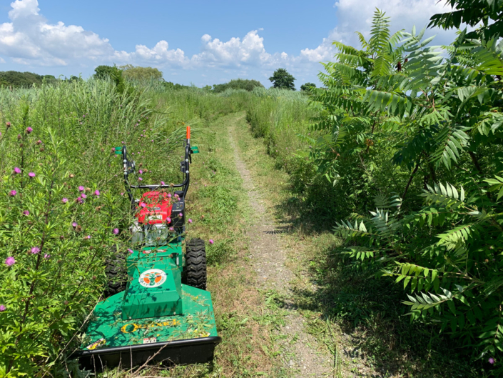aquidneck-farmlands
