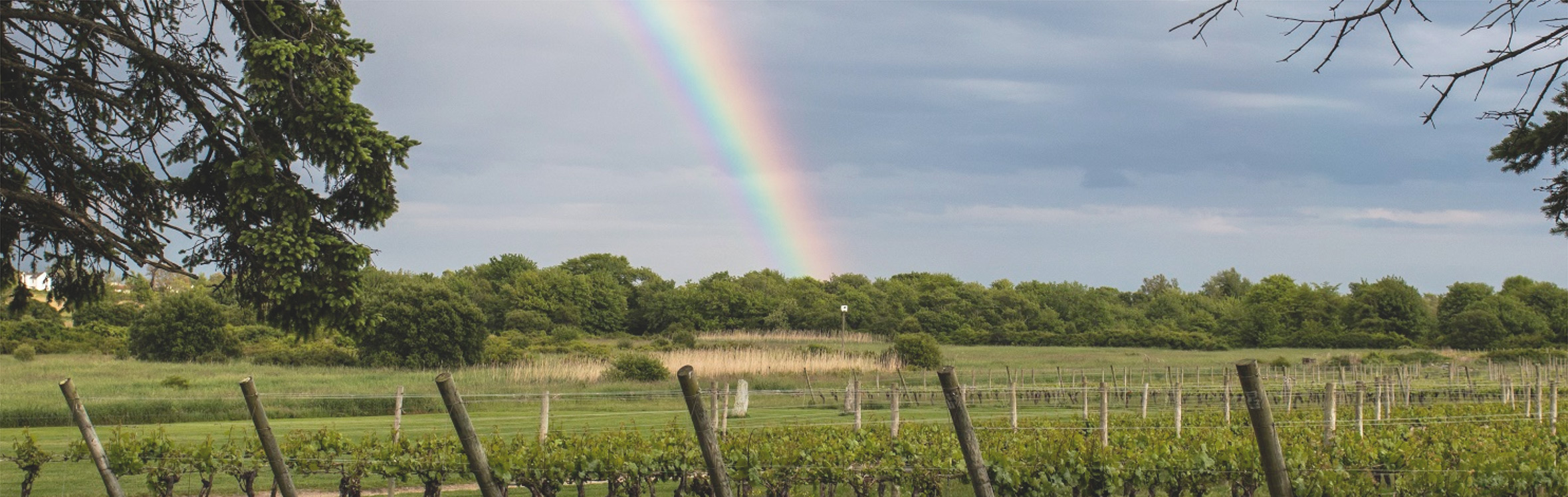 become-a-member-header