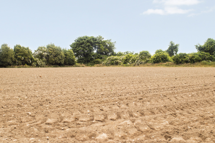 farnlands-tilled-soil
