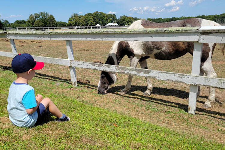 leave-a-legacy-header-mobile