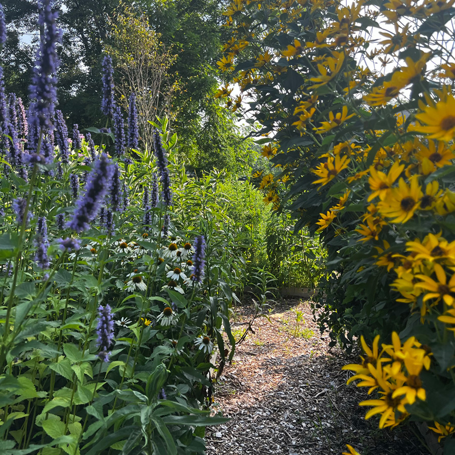 ailt-our-story-bot-03