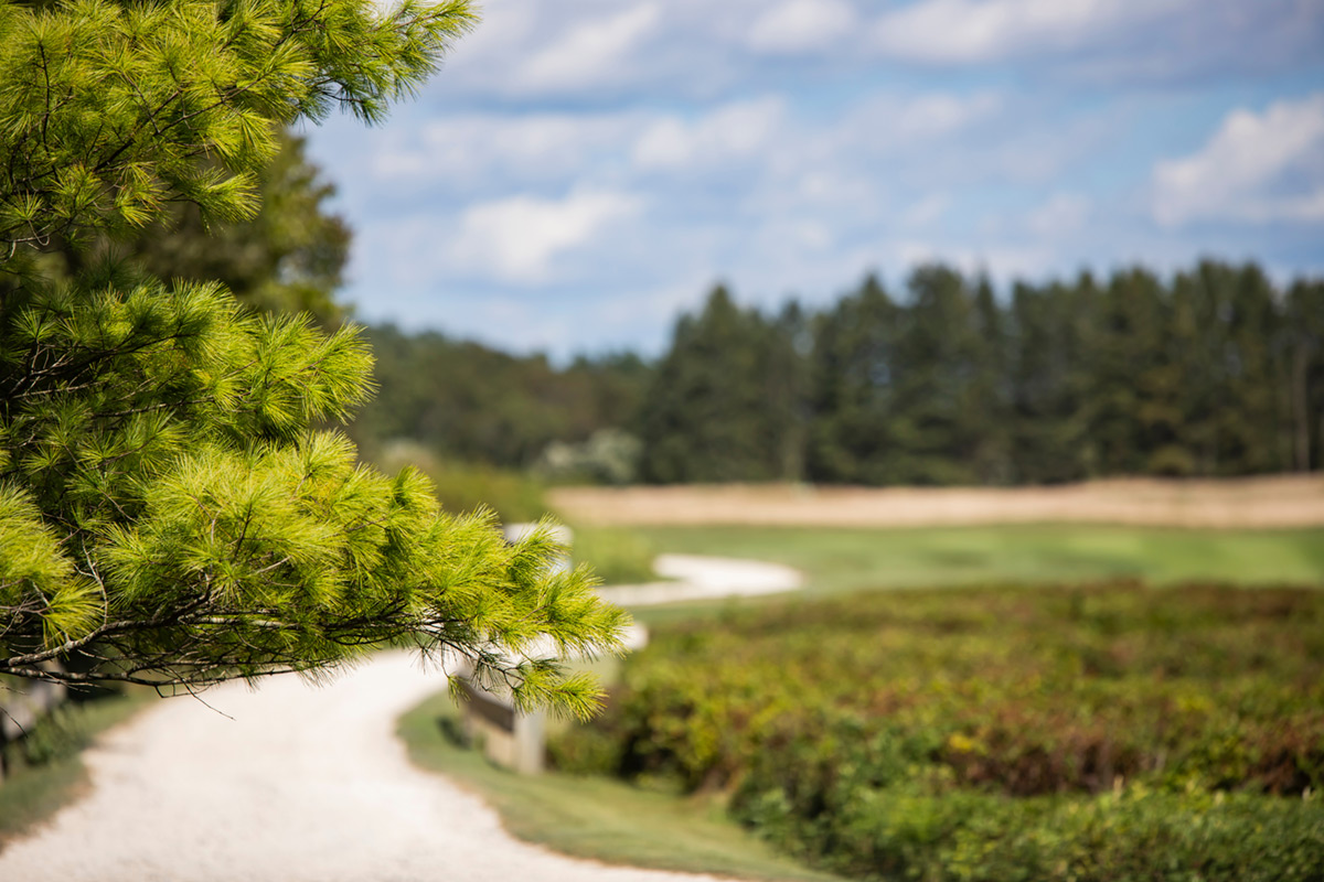 ailt-explore-our-trails