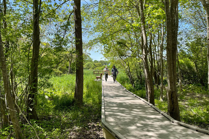 ailt-home-img-gallery ailt-home-img-gallery