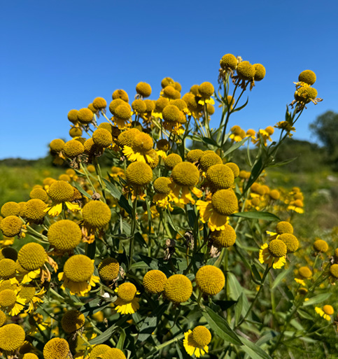 ailt-home-img ailt-home-img