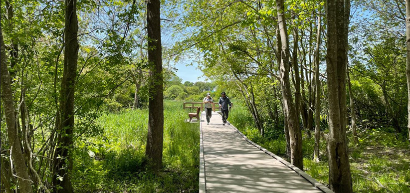 little-creek-preserve-trail