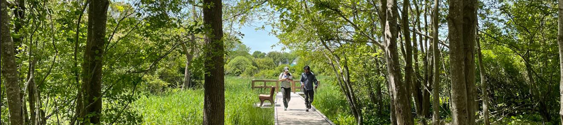 trail-information-header