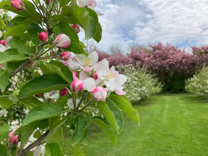 ailt-2025-annual-report-land-protection-01