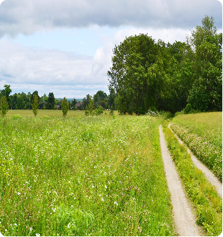 ailt-by-the-numbers-01