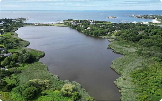 ailt-by-the-numbers-03