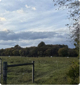 ailt-by-the-numbers-05