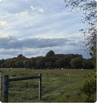 ailt-by-the-numbers-05