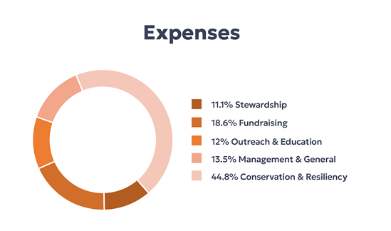 expenses-chart-2025-c