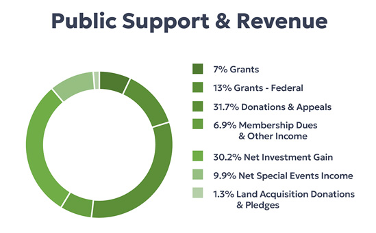 revenue-chart-2025-c